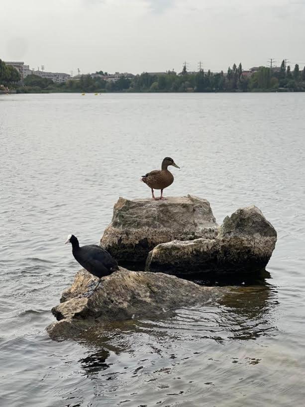 Vue Exceptionnelle Sur Le Lac Créteil Kültér fotó